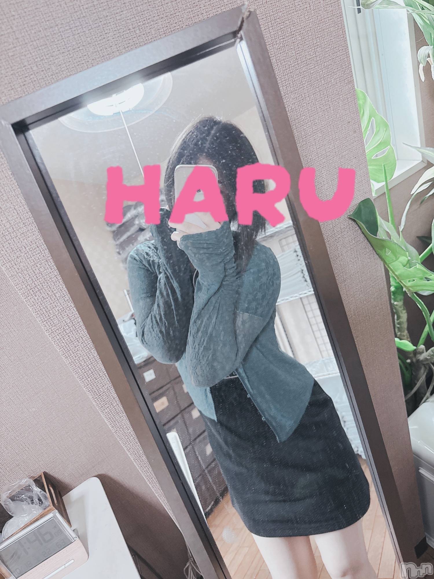 新潟メンズエステLumea(ルメア)神田 はるの2025年11月7日写メブログ「よろぴまる🫶」