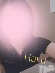 新潟メンズエステLumea(ルメア) 神田 はるの12月20日写メブログ「出勤追加～🩶」