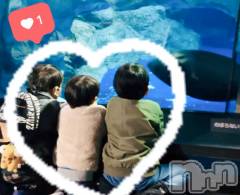 新潟メンズエステLumea(ルメア) 神田 はるの2月22日写メブログ「癒やしの極み。」