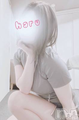 神田 はる(ヒミツ) スリーサイズB().W.H。新潟メンズエステ Lumea(ルメア)在籍。