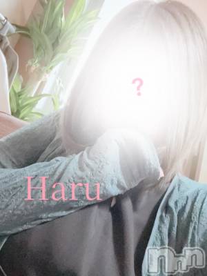 神田 はる(ヒミツ) スリーサイズB().W.H。新潟メンズエステ Lumea(ルメア)在籍。