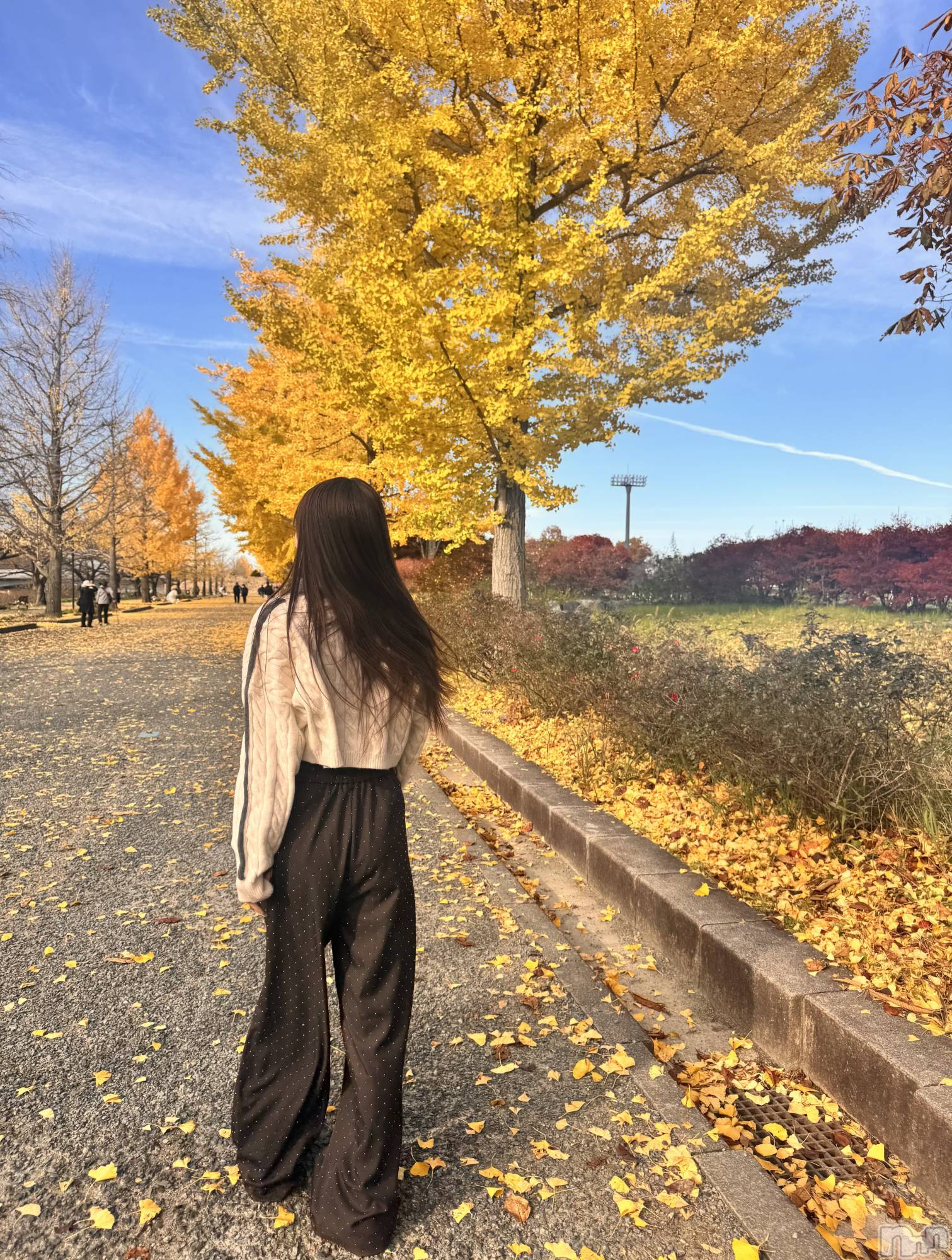 Х顦ֽϽХ Lips(奯祭Хåץ) 2025ǯ1126ֵ̥֥♡