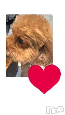 �����������Х��顦����ֽϽ�����Х��� Lips(���奯���祭��Х����åץ�) �ʤʤ�12��1���̥�֥���������♡��