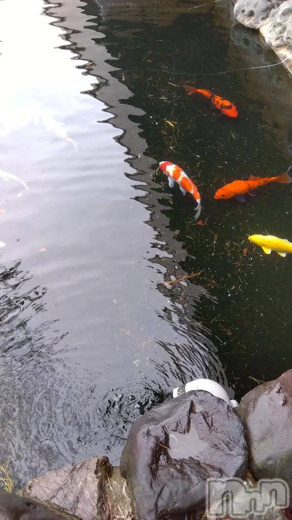 新潟デリヘル熟女の風俗 最終章(ジュクジョノフウゾクサイシュウショウ)せんり(55)の2026年3月20日写メブログ「エンペラーのお客様ありがとうございました❤(ӦｖӦ｡)」