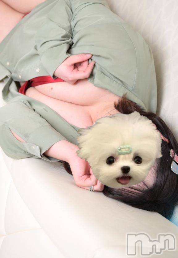 三条デリヘルalphaGOLD(アルファゴールド) なつほ(21)の11月7日写メブログ「かみついちゃう」