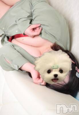 三条デリヘル alphaGOLD(アルファゴールド) なつほ(21)の11月7日写メブログ「かみついちゃう」