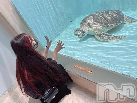 上越デリヘルHONEY(ハニー) せら(♪)(22)の2月13日写メブログ「おはようございます| ε:)”ﾋｮｺ♡」