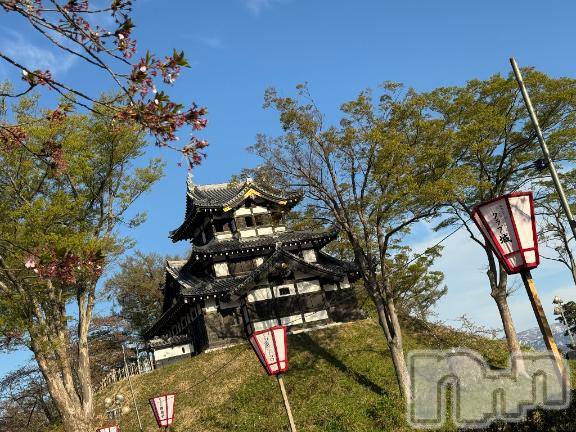 上越デリヘルHONEY(ハニー)せら(♪)(22)の2026年4月13日写メブログ「お花見🌸」