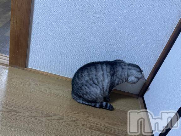 上越デリヘルHONEY(ハニー)せら(♪)(22)の2026年8月9日写メブログ「ごめんなさい( ; ; )」