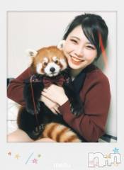 上越デリヘルHONEY(ハニー) せら(♪)(22)の1月17日写メブログ「ご予約嬉しいです♡」