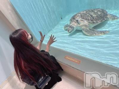 上越デリヘル HONEY(ハニー) せら(♪)(22)の2月13日写メブログ「おはようございます| ε:)”ﾋｮｺ♡」