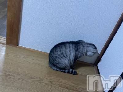 上越デリヘル HONEY(ハニー) せら(♪)(22)の2月27日写メブログ「急でごめんなさい( ; ; )」