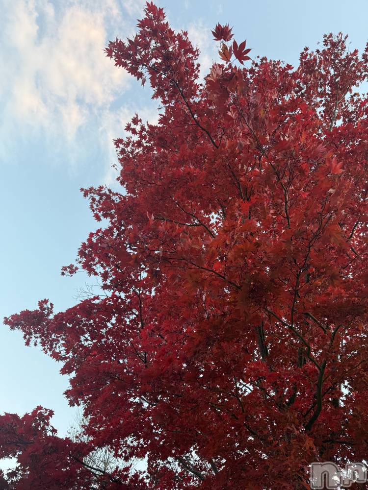 ץХ顦CLUB BOSS( ܥ) ʤ1128ֹ̥֥✨🍁