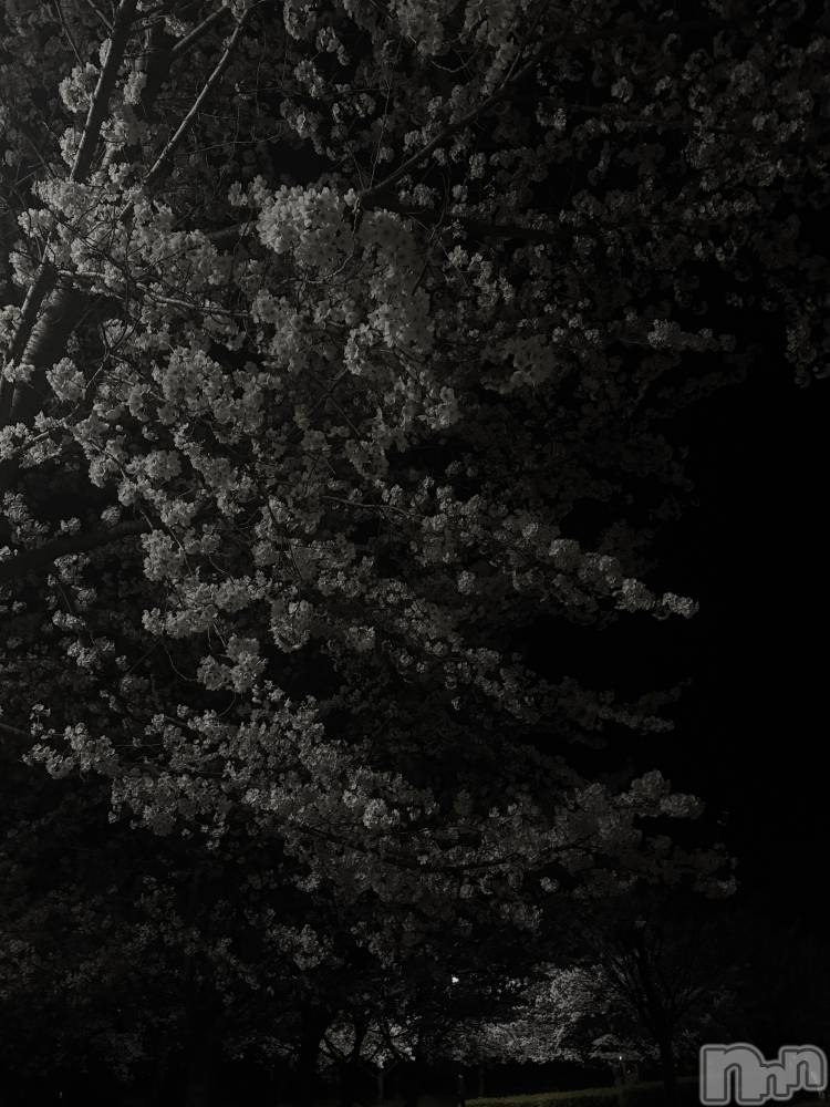 ���ץ���Х��顦�����CLUB BOSS(����� �ܥ�) ����ʤ�4��9���̥�֥����֤���ä��󤷤Ƥޤ���