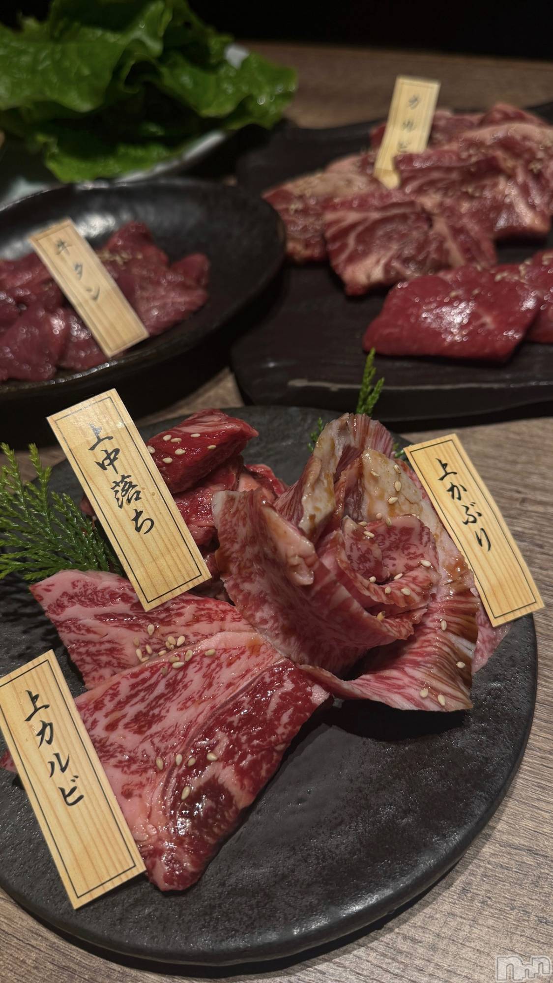 ���ץ���Х��顦�����CLUB BOSS(����� �ܥ�) ��2026ǯ1��15���̥�֥����֤���🥩✨��