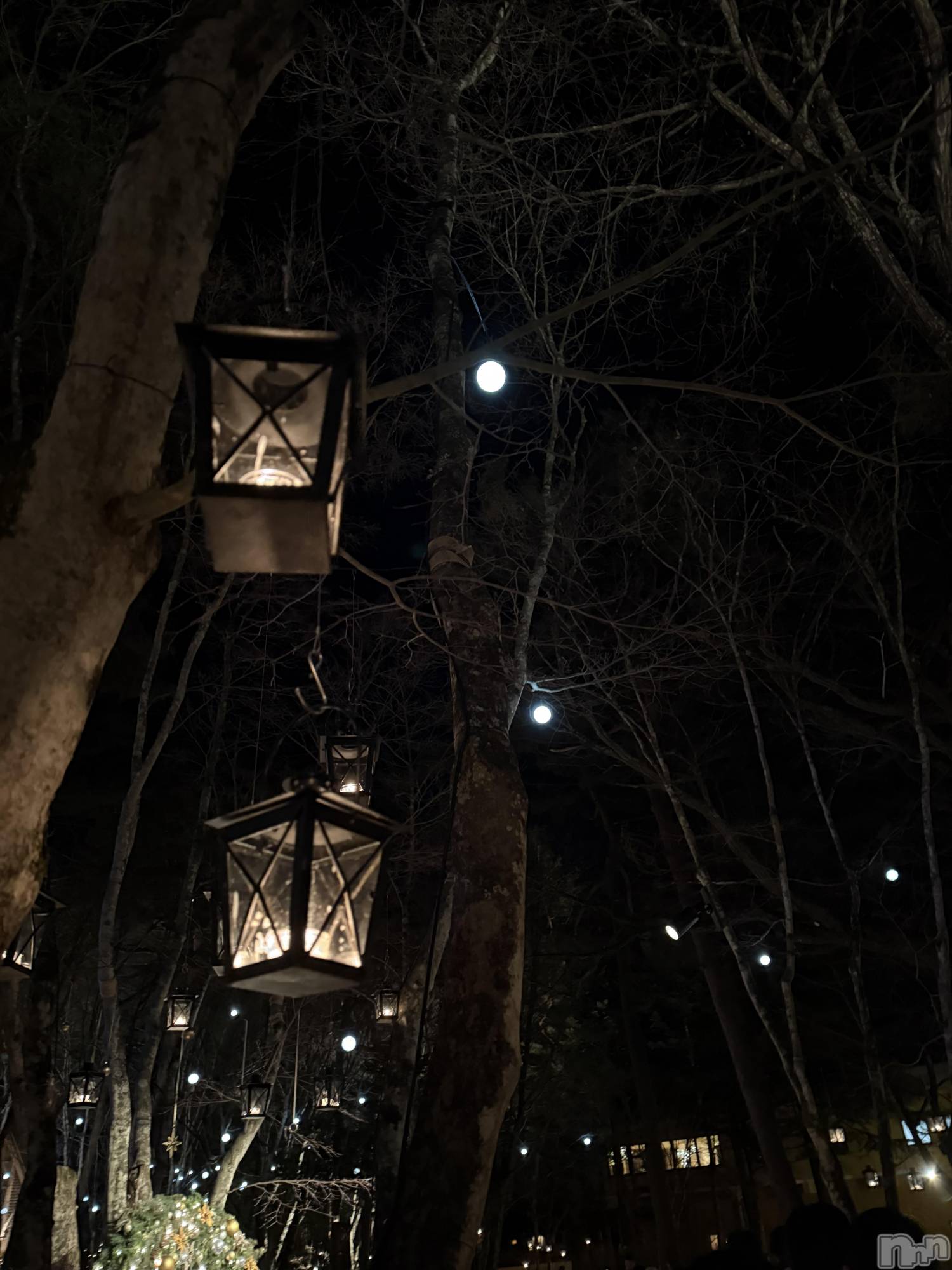 ���ץ���Х��顦�����CLUB BOSS(����� �ܥ�) ��2026ǯ2��25���̥�֥����֤���ä��󤷤Ƥޤ���