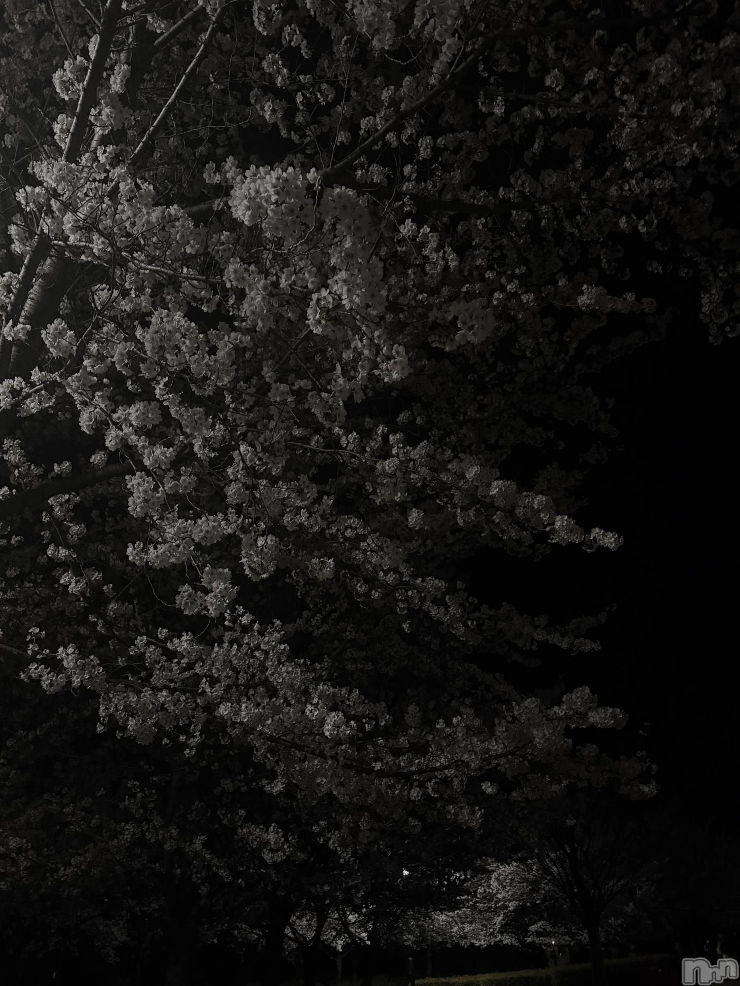 ���ץ���Х��顦�����CLUB BOSS(����� �ܥ�) ��2026ǯ4��9���̥�֥����֤���ä��󤷤Ƥޤ���