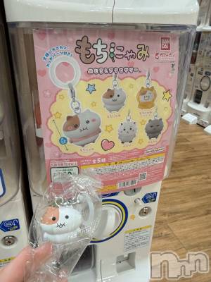 ���ץ���Х��顦�����CLUB BOSS(����� �ܥ�) ����ʤ�12��8���̥�֥�����^._.^��