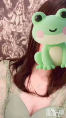 ���Ż��������🤗