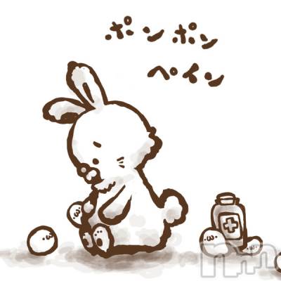 ��Į���ʥå��������륺�С�������&���饪��BAR  L  STYLE(�С����륹������) ���ʤ�4��3���̥�֥�����4���