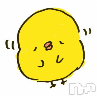 新潟デリヘル Melt(メルト) 【新人】いおり(24)の11月17日写メブログ「明日初出勤です🥹🐰」