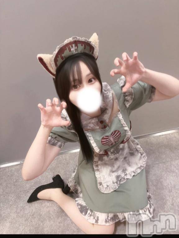 長岡デリヘルROOKIE(ルーキー) ゆら(18)の11月11日写メブログ「えっちなねこちゃん🐾🤍」