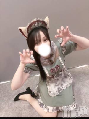 長岡デリヘル ROOKIE(ルーキー) ゆら(18)の11月11日写メブログ「えっちなねこちゃん🐾🤍」