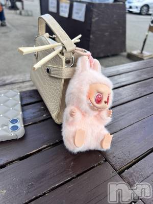 ��ˬ����Х��顦����֥���� �ץ���� ��ˬ(����� �ץ���� ����) ���� �Τ���11��8���̥�֥�����🤍ᩚ��