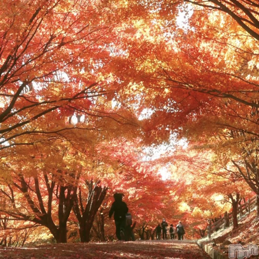 ��ˬ����Х��顦����֥���� �ץ���� ��ˬ(����� �ץ���� ����) ���� �ʤߤ�11��13���̥�֥�����11��13�� 20��05ʬ�Υ֥�����