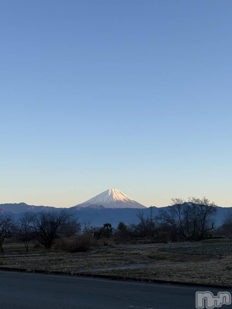 ��ˬ����Х��顦����֥���� �ץ���� ��ˬ(����� �ץ���� ����) ���� �ʤߤ�1��6���̥�֥����֤����ޤ��Ƥ���ǤȤ��������ޤ���