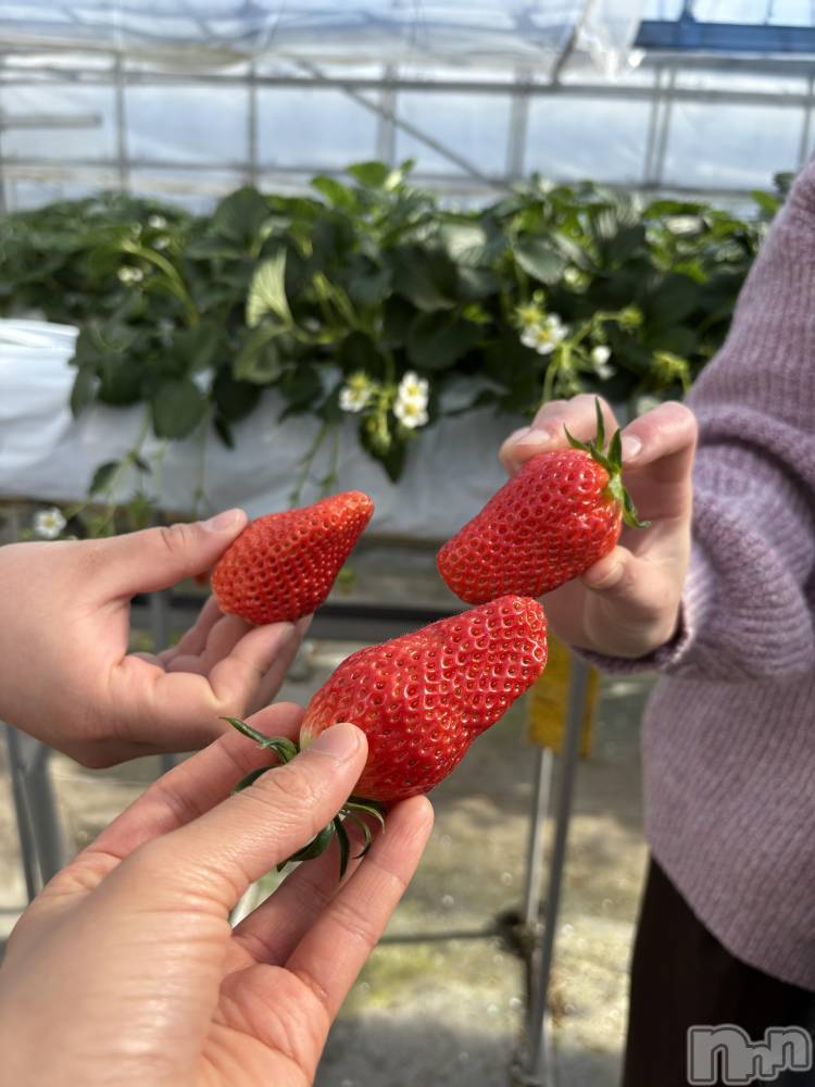 ��ˬ����Х��顦����֥���� �ץ���� ��ˬ(����� �ץ���� ����) ���� �ʤߤ�2��25���̥�֥����֤���������🍓��