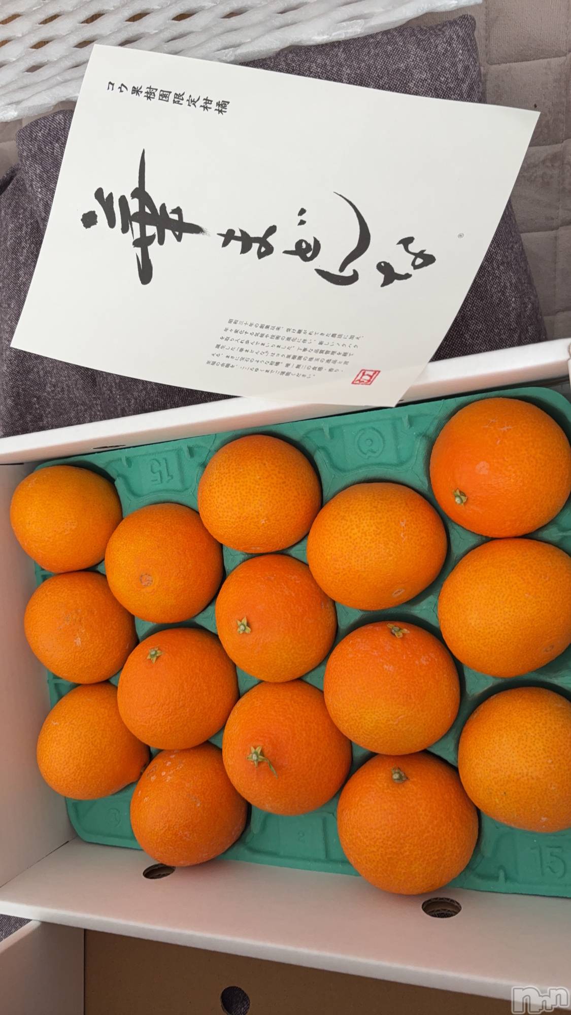 ��ˬ����Х��顦����֥���� �ץ���� ��ˬ(����� �ץ���� ����) ��2025ǯ12��2���̥�֥�����12��2�� 20��23ʬ�Υ֥�����