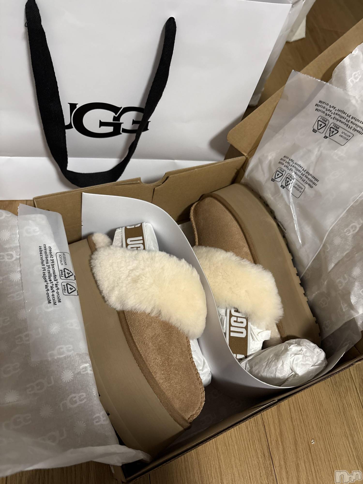 ��ˬ����Х��顦����֥���� �ץ���� ��ˬ(����� �ץ���� ����) ��2026ǯ3��16���̥�֥�����3��16�� 20��24ʬ�Υ֥�����