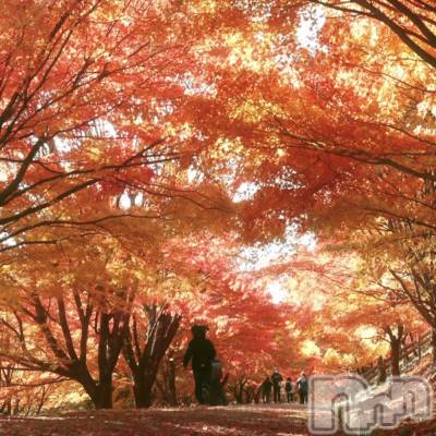 ��ˬ����Х��顦����֥���� �ץ���� ��ˬ(����� �ץ���� ����) ���� �ʤߤ�11��13���̥�֥�����11��13�� 20��05ʬ�Υ֥�����