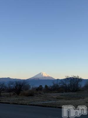 ��ˬ����Х��顦����֥���� �ץ���� ��ˬ(����� �ץ���� ����) ���� �ʤߤ�1��6���̥�֥����֤����ޤ��Ƥ���ǤȤ��������ޤ���