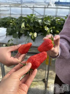 ��ˬ����Х��顦����֥���� �ץ���� ��ˬ(����� �ץ���� ����) ���� �ʤߤ�2��25���̥�֥����֤���������🍓��