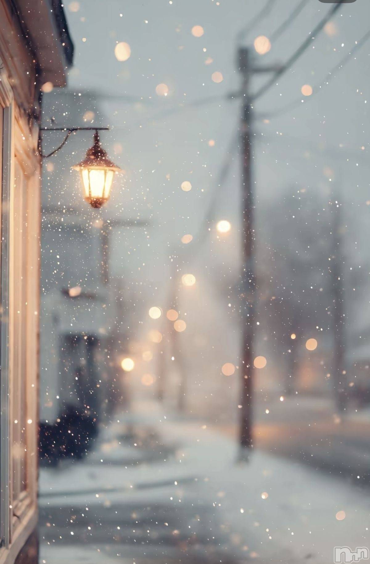 ����������ʥå��������륺�С������륺�С� �ӥ���٥˥塼(�����륺�С��ӥ���٥˥塼) ��2025ǯ12��27���̥�֥�����12��27�� 22��49ʬ�Υ֥�����