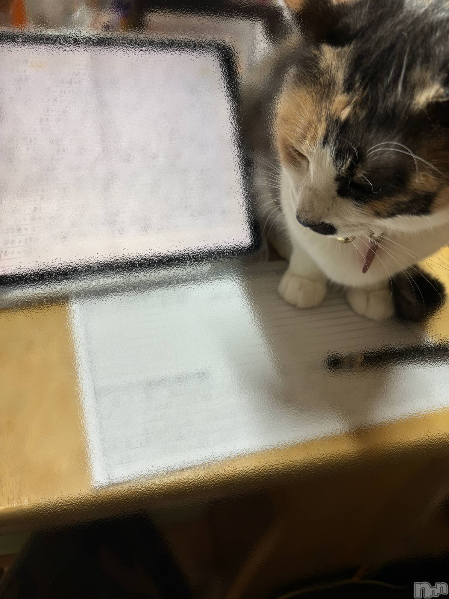 ����������ʥå��������륺�С������륺�С� �ӥ���٥˥塼(�����륺�С��ӥ���٥˥塼) ��2026ǯ1��17���̥�֥�����1��17�� 19��50ʬ�Υ֥�����