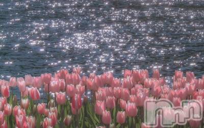 �Ҥ���(20) ��Ĺ160cm������������ʥå��������륺�С� �����륺�С� �ӥ���٥˥塼(�����륺�С��ӥ���٥˥塼)���ҡ�