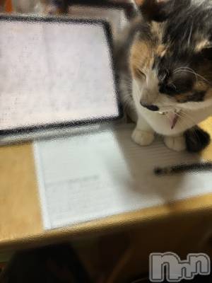 ����������ʥå��������륺�С������륺�С� �ӥ���٥˥塼(�����륺�С��ӥ���٥˥塼) �Ҥ���(20)��1��17���̥�֥�����1��17�� 19��50ʬ�Υ֥�����