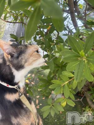 ����������ʥå��������륺�С������륺�С� �ӥ���٥˥塼(�����륺�С��ӥ���٥˥塼) �Ҥ���(20)��2��22���̥�֥�����2��22�� 20��30ʬ�Υ֥�����