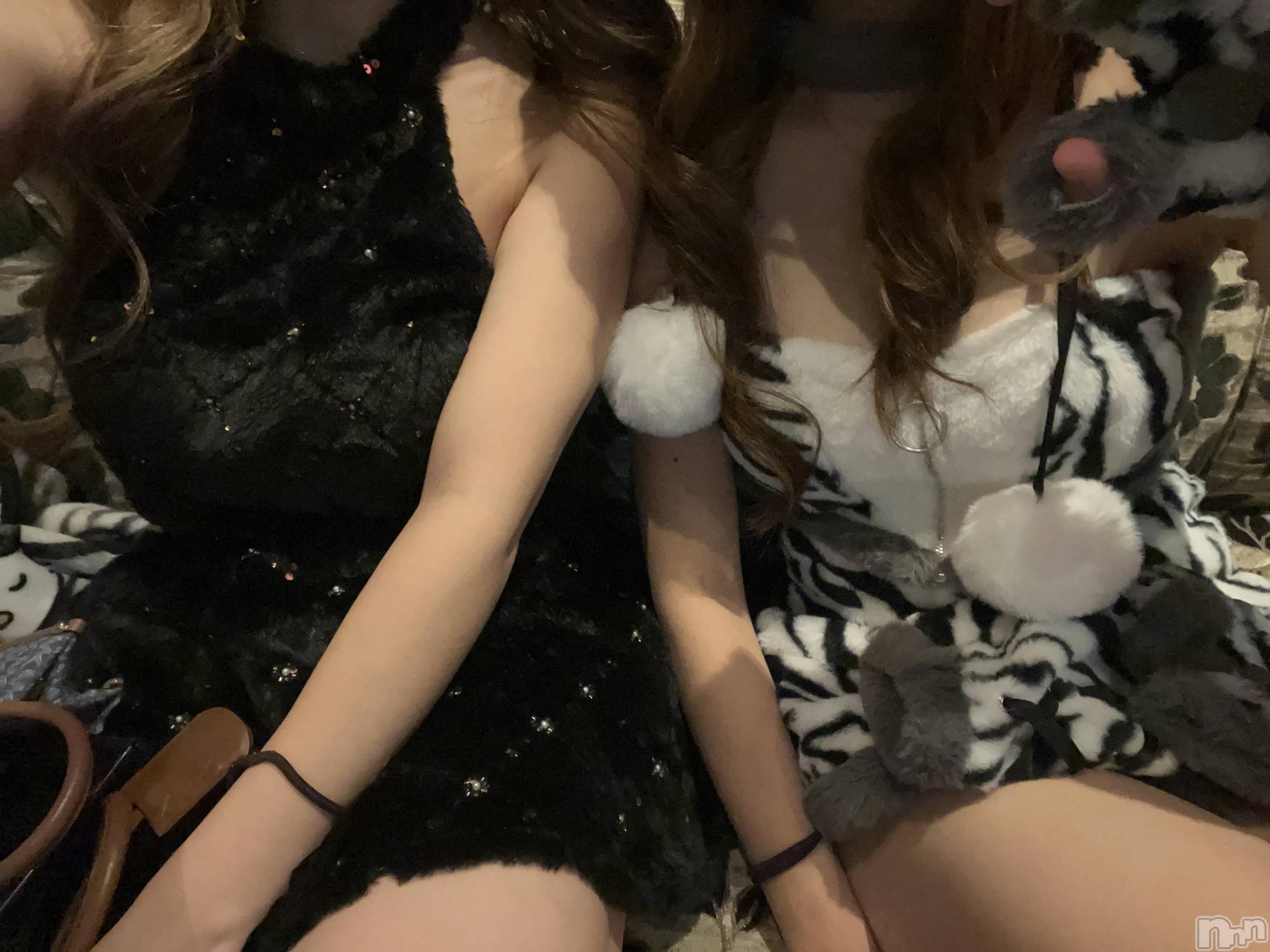 ƲХ顦JARDIN CLUB(󥯥) 2025ǯ1121̥֥֤ˤ