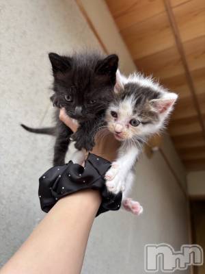 ��Ʋ����Х��顦�����JARDIN CLUB(�������󥯥��) �ޤʤ�11��7���̥�֥����֤Ϥ���ޤ���💕��