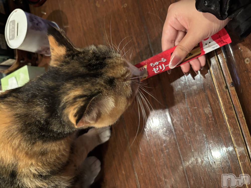 ʥå륺С饪ϥܡbarͻ(饪ϥܡСӥ󥷥ޥ) ʤ1129̥֥֤ˤ󤳡😼