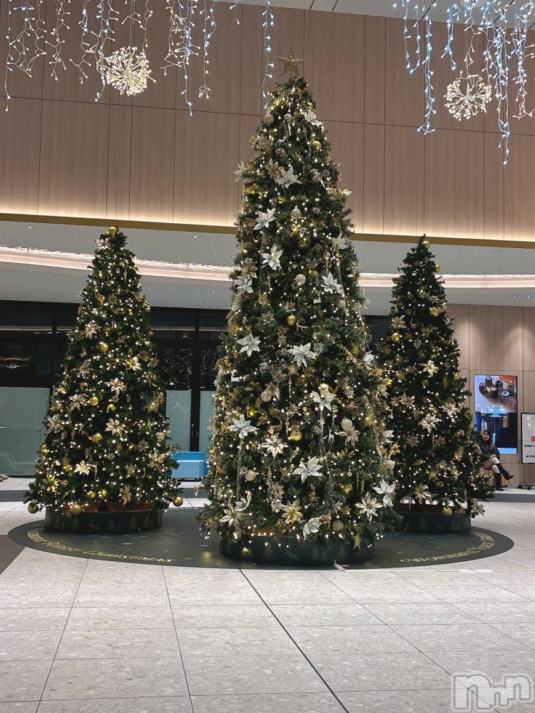 ʥå륺С饪ϥܡbarͻ(饪ϥܡСӥ󥷥ޥ) ʤ121̥֥֥ꥹޥĥ꡼🎄