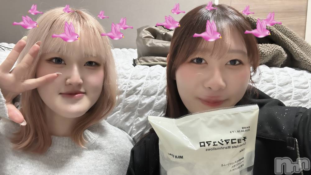 ����������ʥå��������륺�С����饪���ϥ��ܡ���bar���ͻ���(���饪���ϥ��ܡ���С��ӥ��󥷥ޥ�) ����ʤ�1��26���̥�֥����֥ޥ���ޥ�����