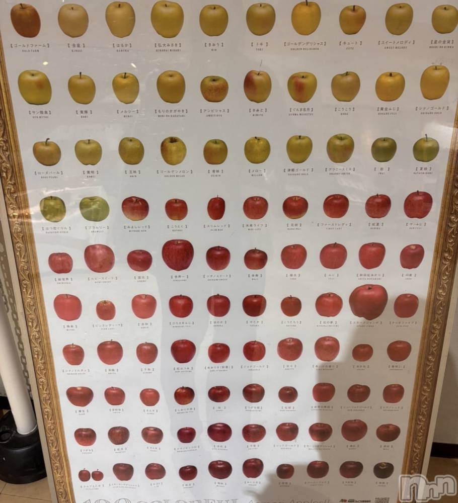 ����������ʥå��������륺�С����饪���ϥ��ܡ���bar���ͻ���(���饪���ϥ��ܡ���С��ӥ��󥷥ޥ�) ����ʤ�3��19���̥�֥����֤������ޡ�����