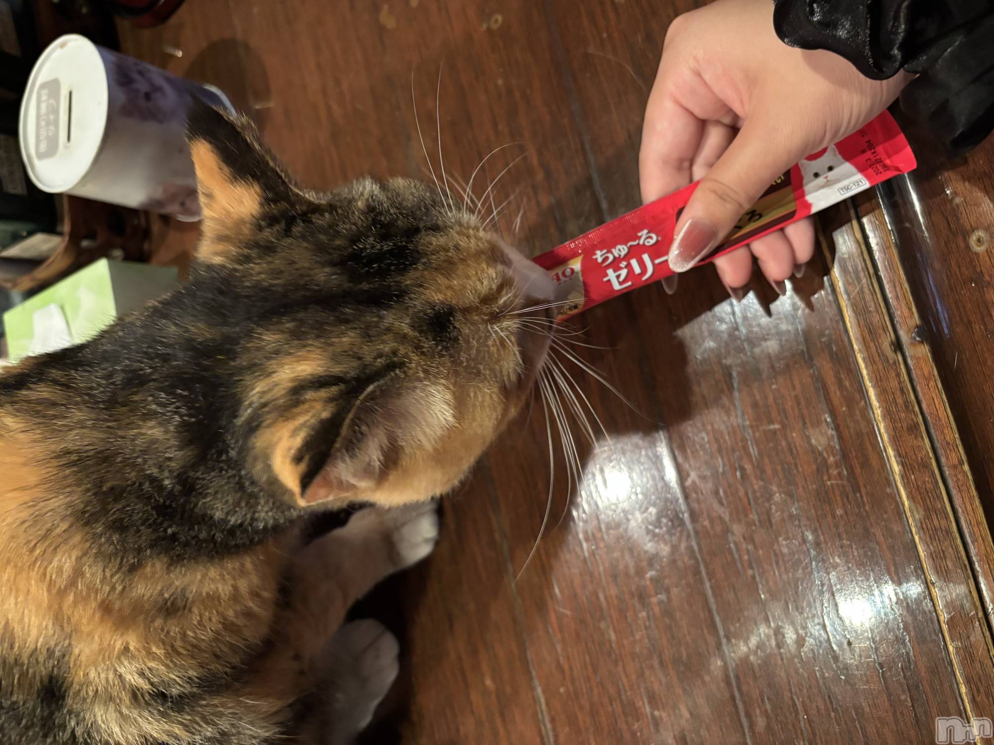 ʥå륺С饪ϥܡbarͻ(饪ϥܡСӥ󥷥ޥ) 2025ǯ1129̥֥֤ˤ󤳡😼