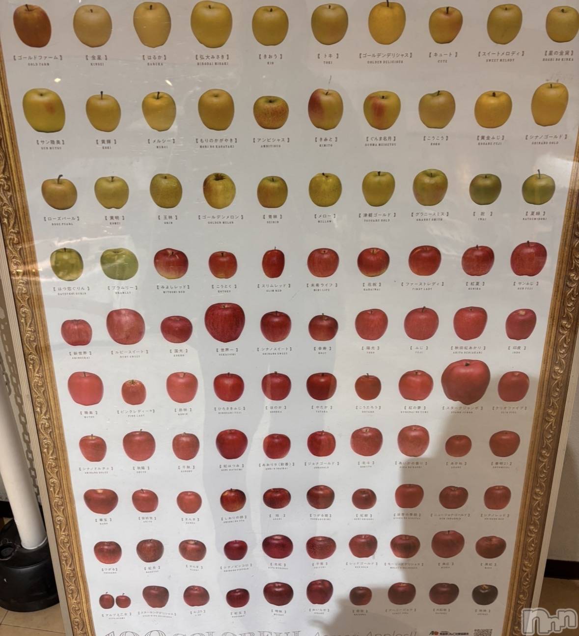 ����������ʥå��������륺�С����饪���ϥ��ܡ���bar���ͻ���(���饪���ϥ��ܡ���С��ӥ��󥷥ޥ�) ��2026ǯ3��19���̥�֥����֤������ޡ�����