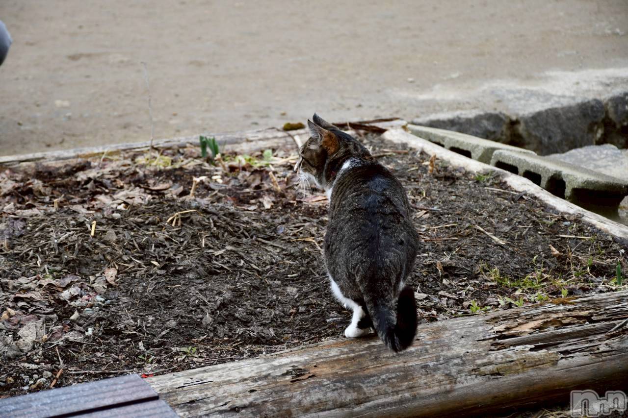 ����������ʥå��������륺�С����饪���ϥ��ܡ���bar���ͻ���(���饪���ϥ��ܡ���С��ӥ��󥷥ޥ�) ��2026ǯ4��2���̥�֥�����ǭ�����😽��